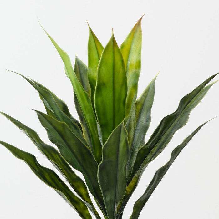 Artificial Cordyline Bush 36cm Green - Pack of 12 - FLORA DESIGNS