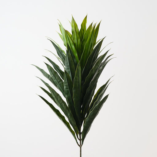 Artificial Cordyline Bush 79cm Green - Pack of 6 - FLORA DESIGNS