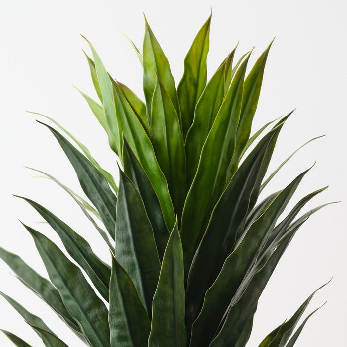 Artificial Cordyline Bush 79cm Green - Pack of 6 - FLORA DESIGNS
