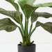 Artificial Anthurium Jungle Plant 63cm Green - Pack of 2 - FLORA DESIGNS