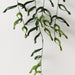 Artificial Dragon Fern Plant 66cm Green - Pack of 4 - FLORA DESIGNS