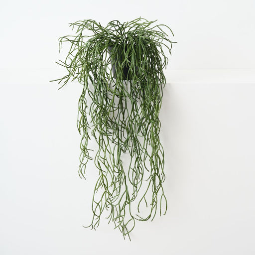 Artificial Rhipsalis Plant 71cm Green - Pack of 4 - FLORA DESIGNS