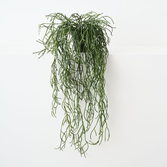 Artificial Rhipsalis Plant 71cm Green - Pack of 4 - FLORA DESIGNS