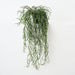 Artificial Rhipsalis Plant 71cm Green - Pack of 4 - FLORA DESIGNS