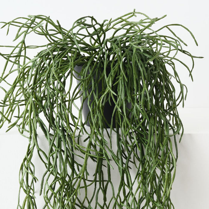 Artificial Rhipsalis Plant 71cm Green - Pack of 4 - FLORA DESIGNS