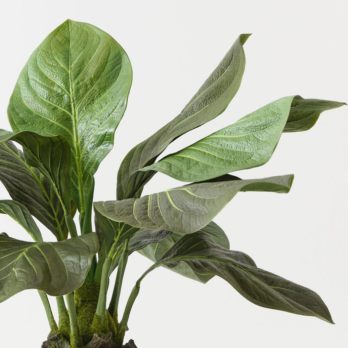 Artificial Anthurium Jungle Plant 81cm Green - Pack of 2 - FLORA DESIGNS
