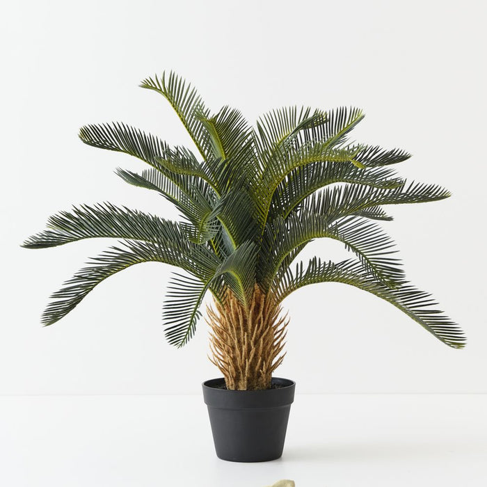 Artificial Cycad Palm 76cm Green - Pack of 2 - FLORA DESIGNS