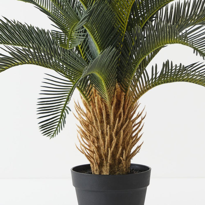 Artificial Cycad Palm 76cm Green - Pack of 2 - FLORA DESIGNS