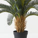 Artificial Cycad Palm 76cm Green - Pack of 2 - FLORA DESIGNS