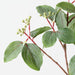 Artificial Virginia Creeper Leaf Spray 78cm Green - Pack of 12 - FLORA DESIGNS