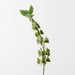 Artificial Bell of Ireland 71cm Green - Pack of 12 - FLORA DESIGNS