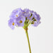 Artificial Primula Spray 74cm Lavender - Pack of 12 - FLORA DESIGNS