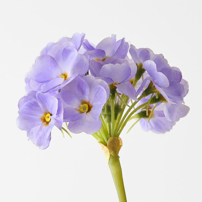 Artificial Primula Spray 74cm Lavender - Pack of 12 - FLORA DESIGNS