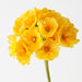 Artificial Primula Spray 74cm Yellow - Pack of 12 - FLORA DESIGNS
