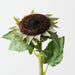 Artificial Sunflower Core 61cm Green Brown - Pack of 12 - FLORA DESIGNS
