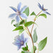 Artificial Clematis Spray 81cm Lavender Blue - Pack of 12 - FLORA DESIGNS
