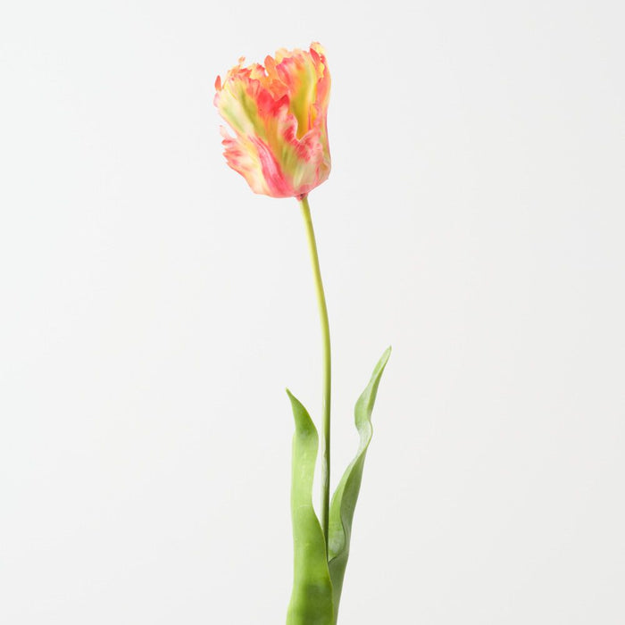 Artificial Parrot Tulip 68cm Flame - Pack of 12 - FLORA DESIGNS