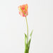 Artificial Parrot Tulip 68cm Flame - Pack of 12 - FLORA DESIGNS
