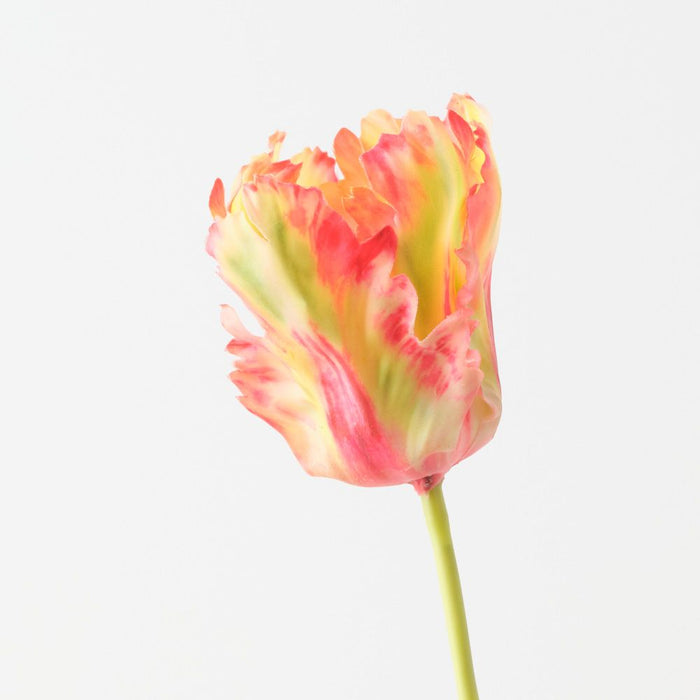 Artificial Parrot Tulip 68cm Flame - Pack of 12 - FLORA DESIGNS