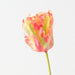 Artificial Parrot Tulip 68cm Flame - Pack of 12 - FLORA DESIGNS