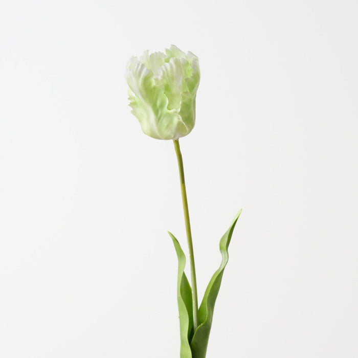 Artificial Parrot Tulip 68cm Green White - Pack of 12 - FLORA DESIGNS