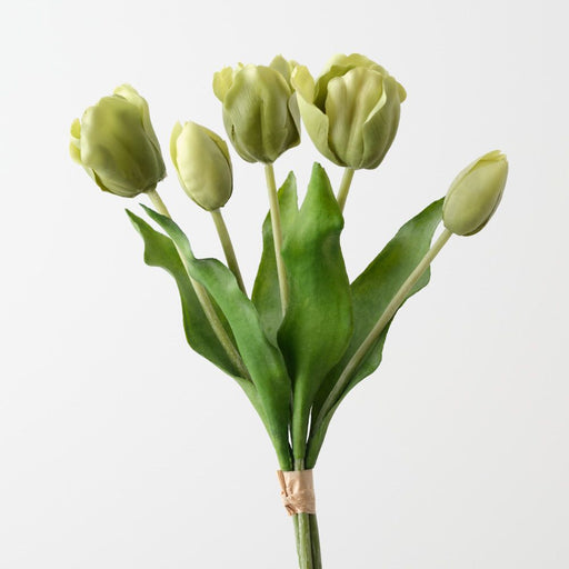 Artificial Dutch Tulip Bundle 33cm Green - Pack of 6 - FLORA DESIGNS