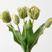 Artificial Dutch Tulip Bundle 33cm Green - Pack of 6 - FLORA DESIGNS