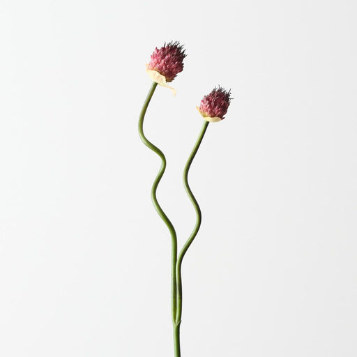 Artificial Allium Bud Spray 63cm Burgundy - FLORA DESIGNS