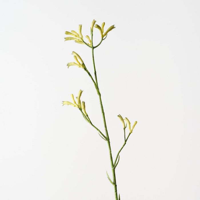 Artificial Kangaroo Paw 77cm Green - Pack of 12 - FLORA DESIGNS