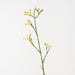 Artificial Kangaroo Paw 77cm Green - Pack of 12 - FLORA DESIGNS