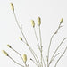 Artificial Burnet Spray 86cm Light Green - Pack of 12 - FLORA DESIGNS