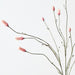 Artificial Burnet Spray 86cm Pink - Pack of 12 - FLORA DESIGNS