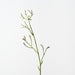Artificial Kangaroo Paw 77cm Grey - Pack of 12 - FLORA DESIGNS