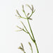 Artificial Kangaroo Paw 77cm Grey - Pack of 12 - FLORA DESIGNS
