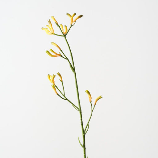 Artificial Kangaroo Paw 77cm Yellow Green - Pack of 12 - FLORA DESIGNS
