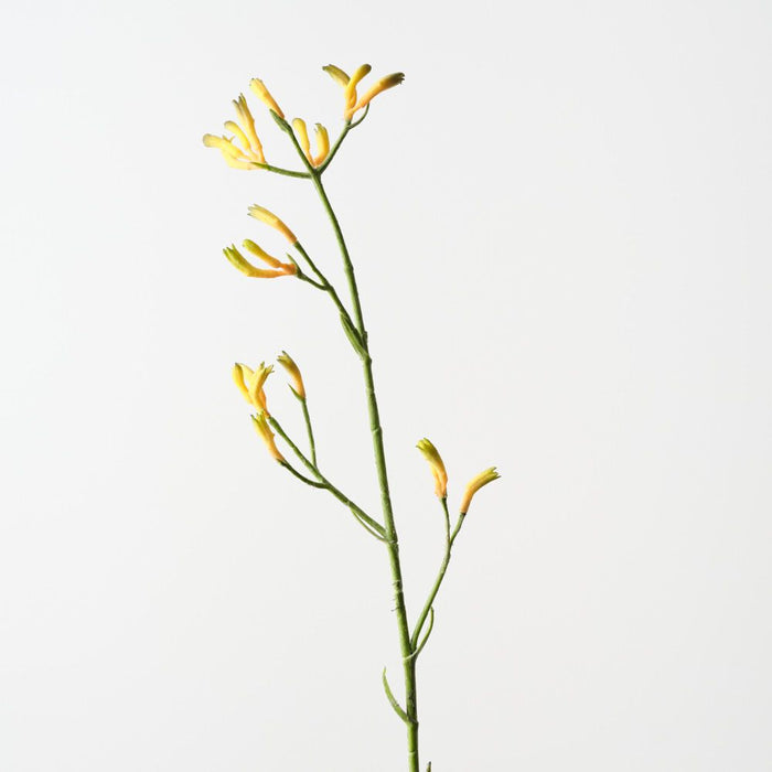 Artificial Kangaroo Paw 77cm Yellow Green - Pack of 12 - FLORA DESIGNS