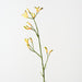Artificial Kangaroo Paw 77cm Yellow Green - Pack of 12 - FLORA DESIGNS