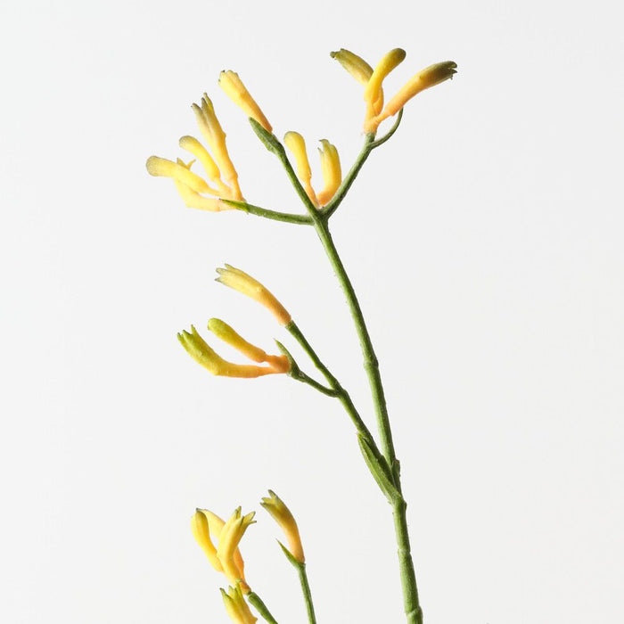 Artificial Kangaroo Paw 77cm Yellow Green - Pack of 12 - FLORA DESIGNS
