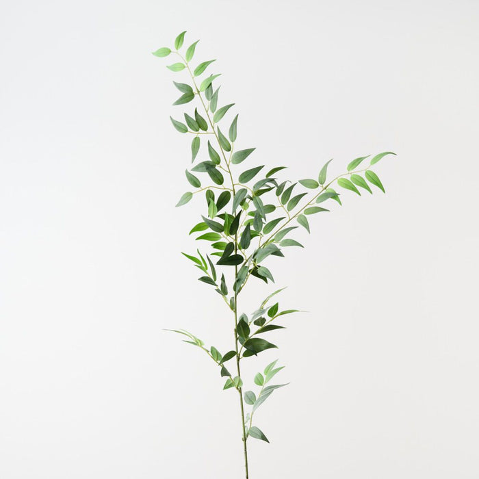 Artificial Italian Ruscus Spray 125cm Grey Green - Pack of 12 - FLORA DESIGNS