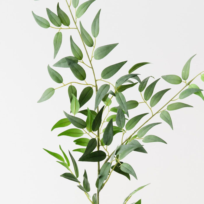 Artificial Italian Ruscus Spray 125cm Grey Green - Pack of 12 - FLORA DESIGNS