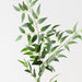 Artificial Italian Ruscus Spray 125cm Grey Green - Pack of 12 - FLORA DESIGNS