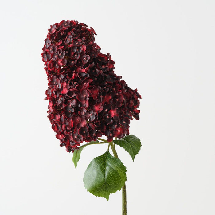 Artificial Cone Hydrangea 104cm Dark Burgundy - Pack of 6 - FLORA DESIGNS