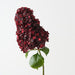 Artificial Cone Hydrangea 104cm Dark Burgundy - Pack of 6 - FLORA DESIGNS