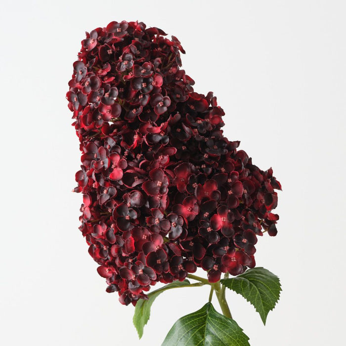 Artificial Cone Hydrangea 104cm Dark Burgundy - Pack of 6 - FLORA DESIGNS