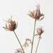 Artificial Love in a Mist Spray 55cm Coffee - Pack of 12 - FLORA DESIGNS