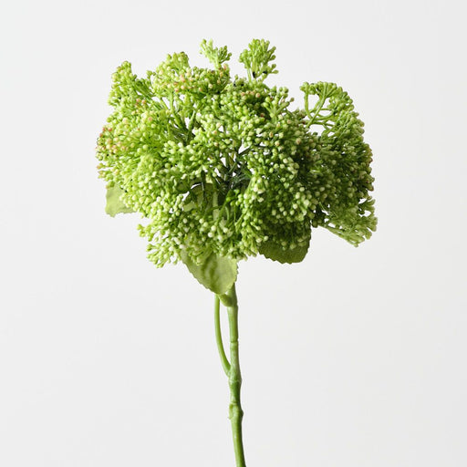 Artificial Skimmia 29cm Light Green - Pack of 12 - FLORA DESIGNS