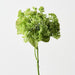 Artificial Skimmia 29cm Light Green - Pack of 12 - FLORA DESIGNS