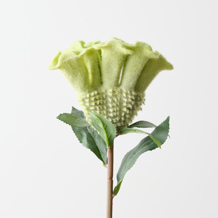 Artificial Celosia 67cm Light Green - Pack of 12 - FLORA DESIGNS