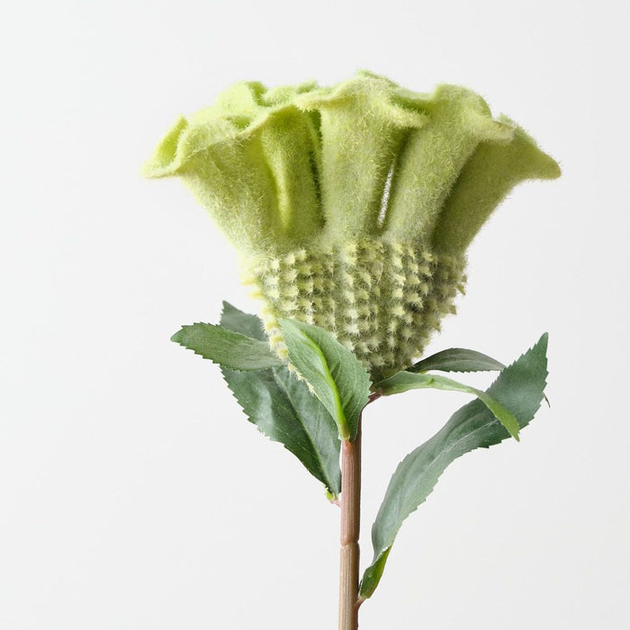 Artificial Celosia 67cm Light Green - Pack of 12 - FLORA DESIGNS