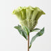Artificial Celosia 67cm Light Green - Pack of 12 - FLORA DESIGNS